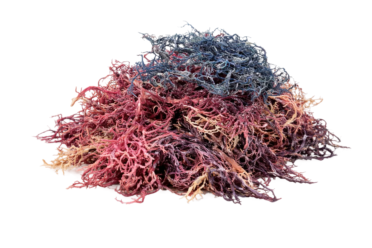 Sea Moss