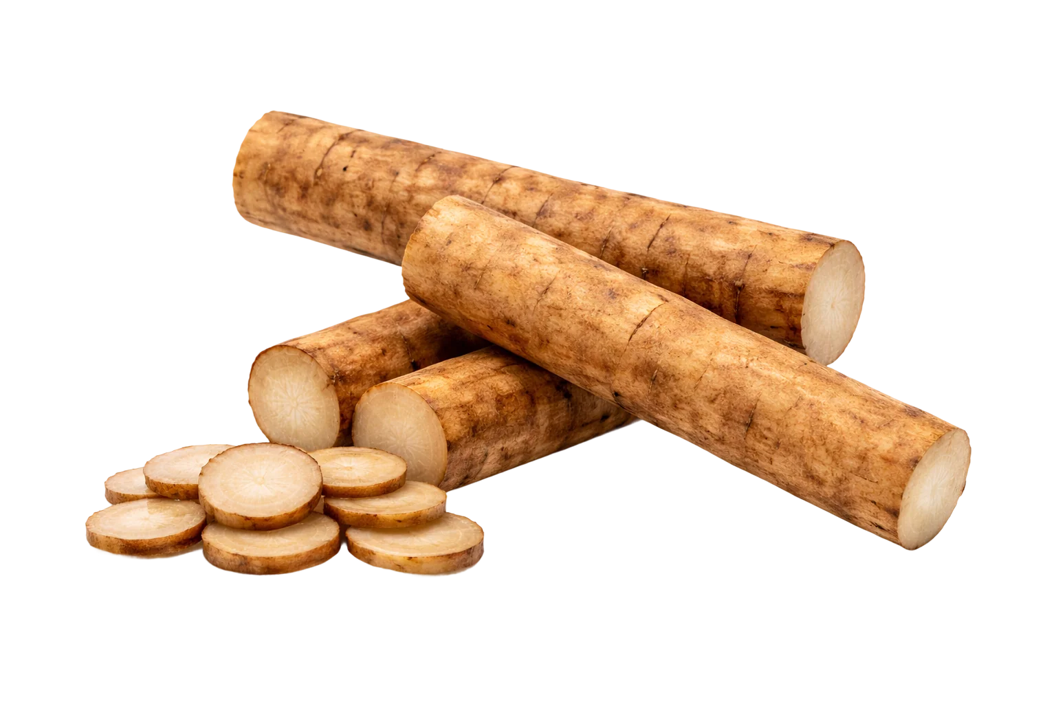 Burdock Root