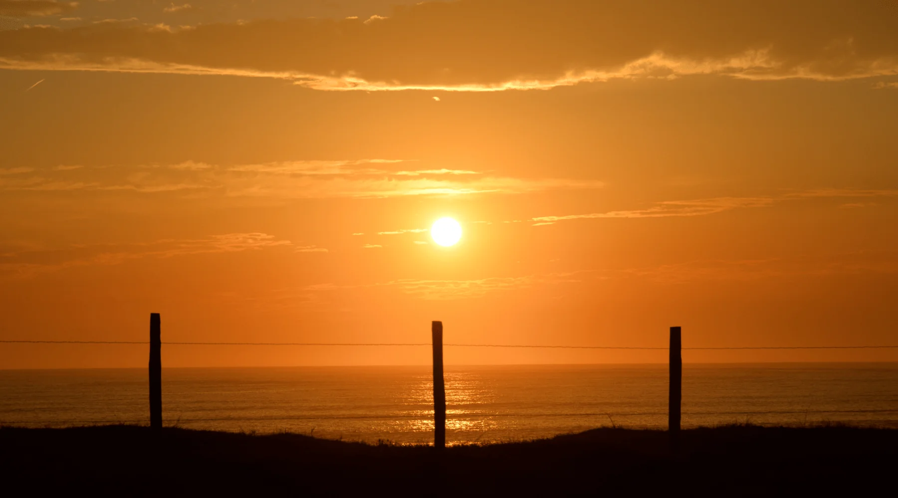 Embracing the Solstice: Celebrating the Longest Day of the Year