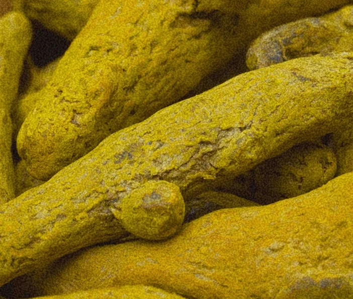 Ancient Botanicals