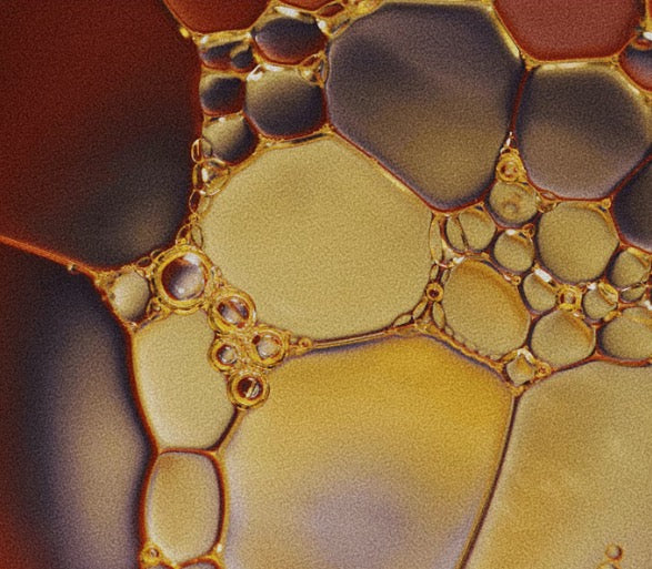 All 9 Essential Amino Acids