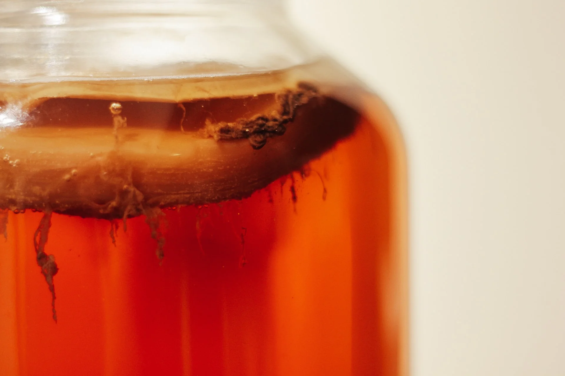 Kombucha 101: What Does Kombucha Taste Like?